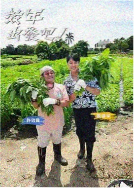 听见你的歌 现场